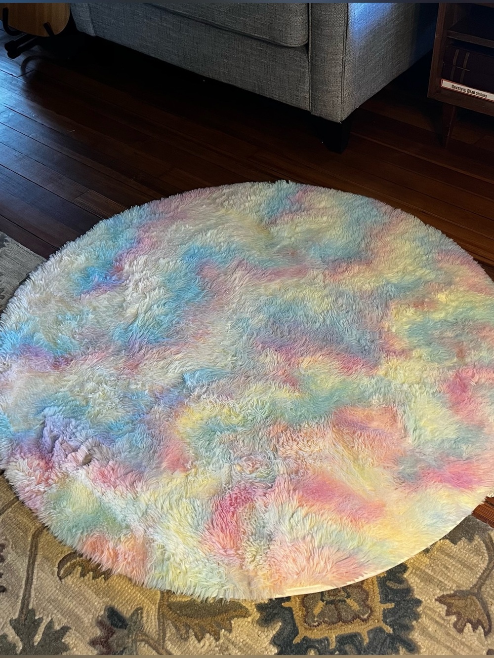 Fluffy rainbow area rug
